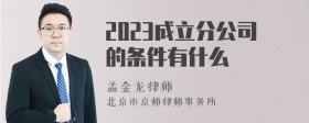 2023成立分公司的条件有什么