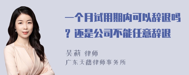 一个月试用期内可以辞退吗？还是公司不能任意辞退