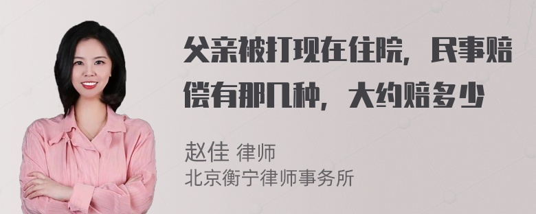 父亲被打现在住院，民事赔偿有那几种，大约赔多少