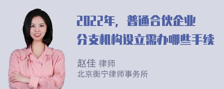 2022年，普通合伙企业分支机构设立需办哪些手续