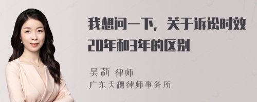 我想问一下，关于诉讼时效20年和3年的区别