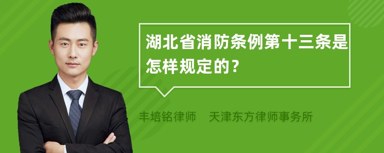 湖北省消防条例第十三条是怎样规定的？