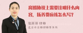 离婚协议上需要注明什么内容，抚养费应该怎么写？