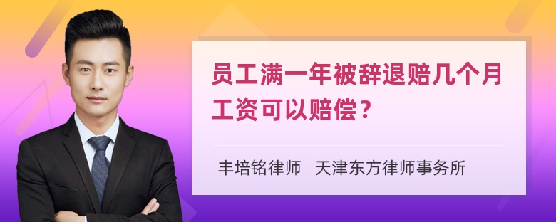 员工满一年被辞退赔几个月工资可以赔偿？