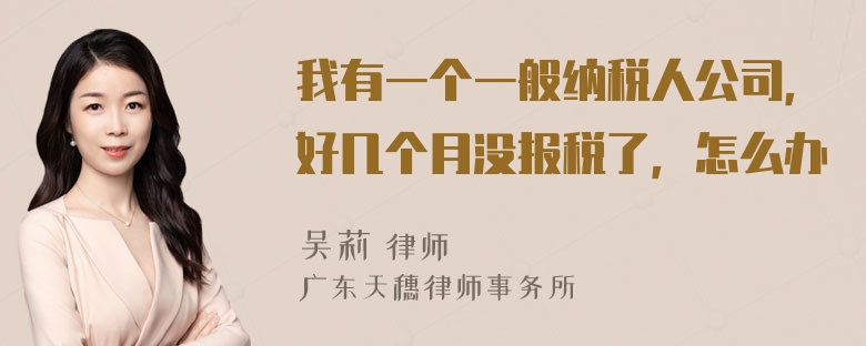 我有一个一般纳税人公司，好几个月没报税了，怎么办