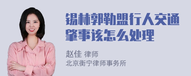 锡林郭勒盟行人交通肇事该怎么处理