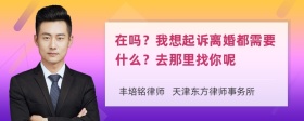 在吗？我想起诉离婚都需要什么？去那里找你呢