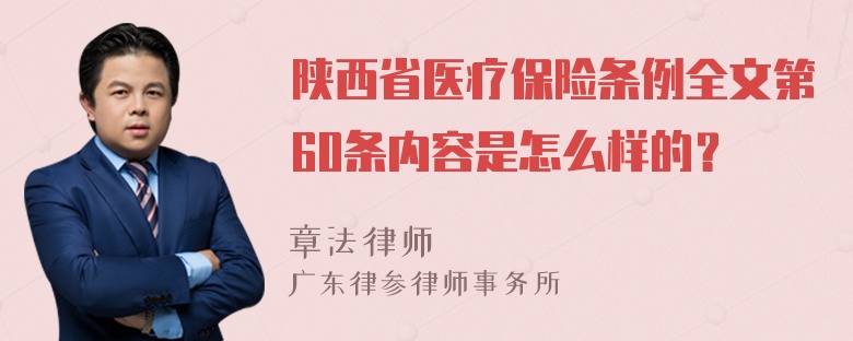 陕西省医疗保险条例全文第60条内容是怎么样的？