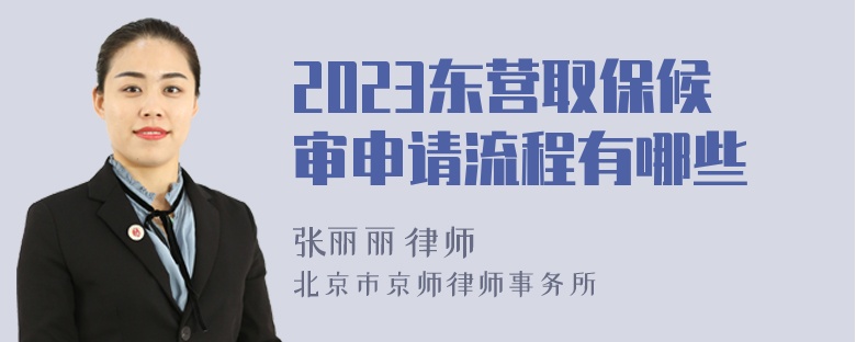 2023东营取保候审申请流程有哪些