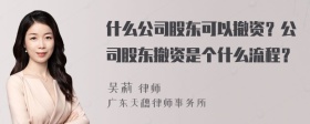 什么公司股东可以撤资？公司股东撤资是个什么流程？