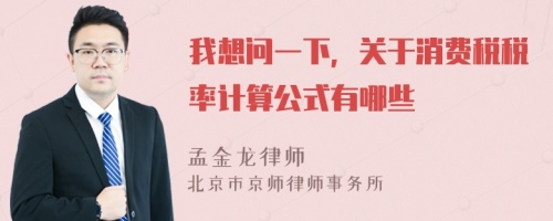 我想问一下，关于消费税税率计算公式有哪些