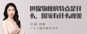 担保物权的特点是什么，国家有什么政策