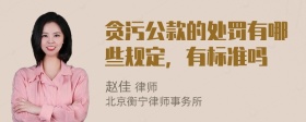 贪污公款的处罚有哪些规定，有标准吗