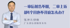 一审后被告不服，二审上诉都4个月也不开庭怎么办？