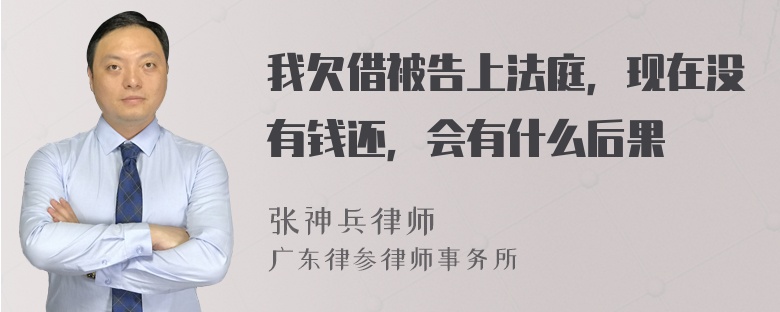 我欠借被告上法庭，现在没有钱还，会有什么后果