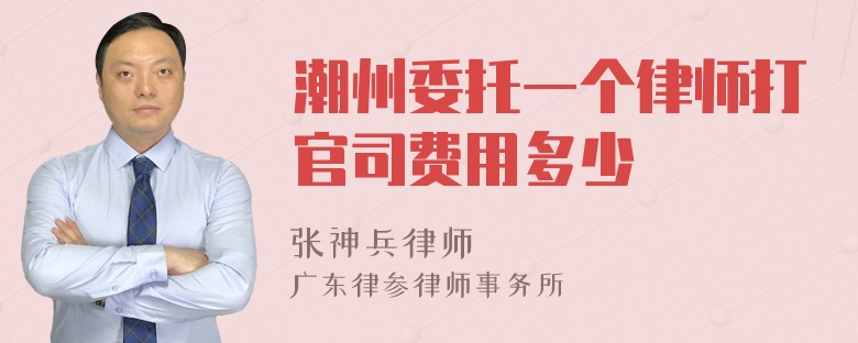 潮州委托一个律师打官司费用多少