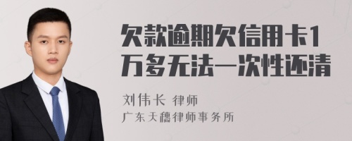 欠款逾期欠信用卡1万多无法一次性还清