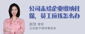 公司未给企业缴纳社保，员工应该怎么办