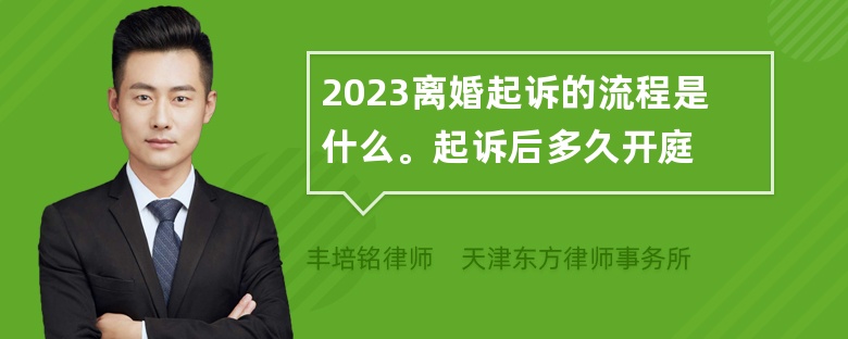 2023离婚起诉的流程是什么。起诉后多久开庭