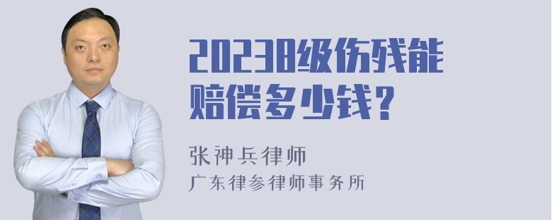 20238级伤残能赔偿多少钱？