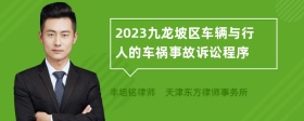 2023九龙坡区车辆与行人的车祸事故诉讼程序