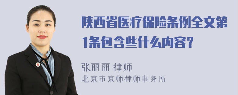 陕西省医疗保险条例全文第1条包含些什么内容？