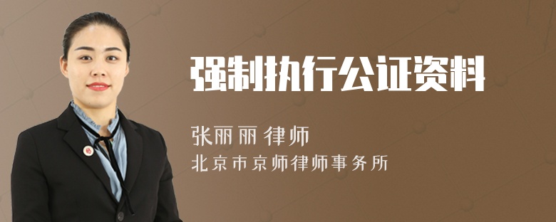 强制执行公证资料