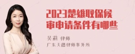 2023楚雄取保候审申请条件有哪些