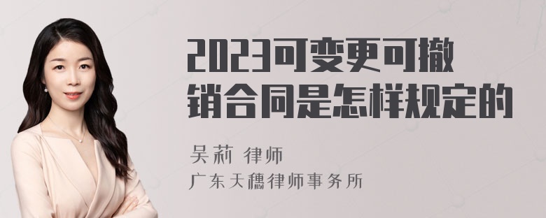 2023可变更可撤销合同是怎样规定的