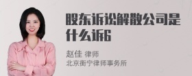 股东诉讼解散公司是什么诉6