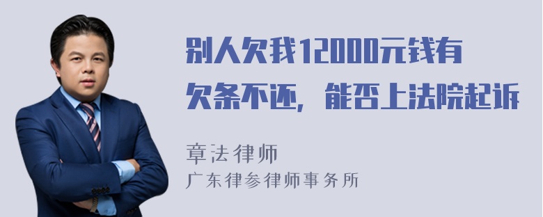 别人欠我12000元钱有欠条不还，能否上法院起诉