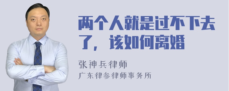 两个人就是过不下去了，该如何离婚