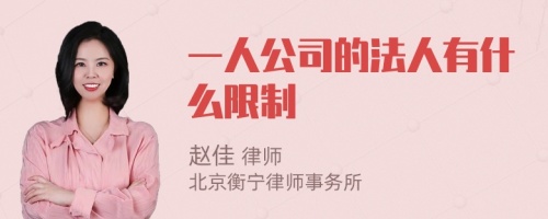 一人公司的法人有什么限制