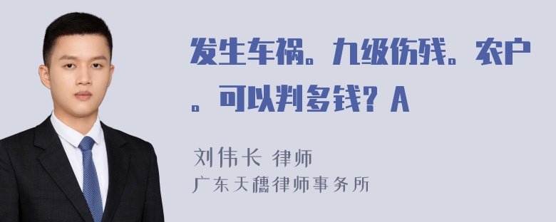 发生车祸。九级伤残。农户。可以判多钱？A