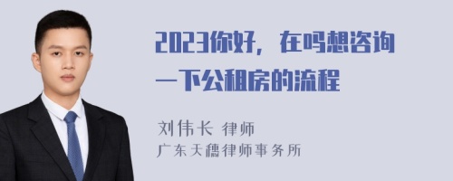 2023你好，在吗想咨询一下公租房的流程