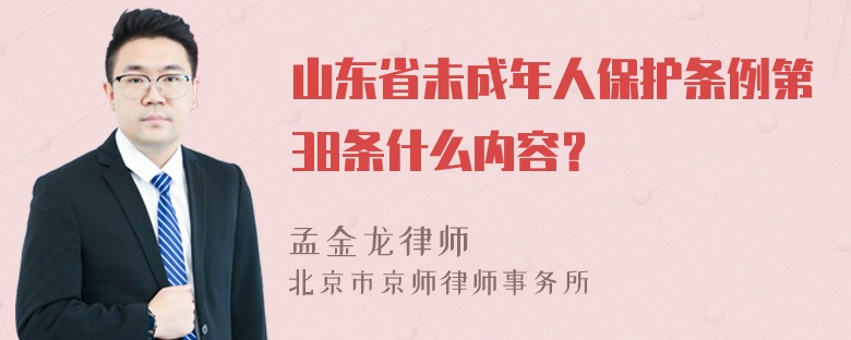 山东省未成年人保护条例第38条什么内容？