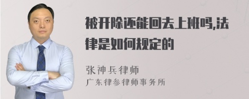 被开除还能回去上班吗,法律是如何规定的