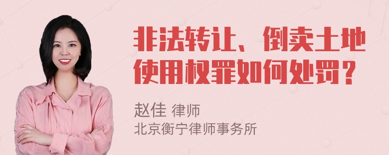 非法转让、倒卖土地使用权罪如何处罚？