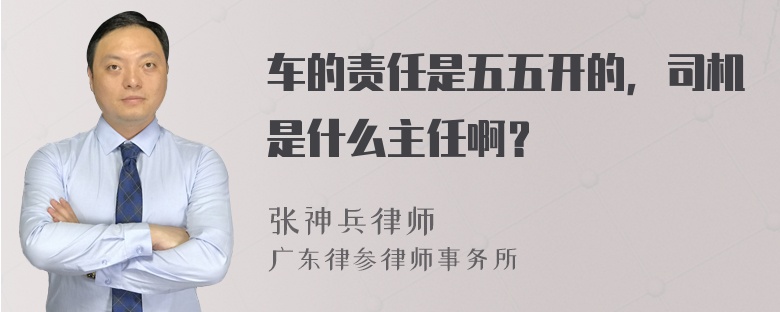 车的责任是五五开的，司机是什么主任啊？