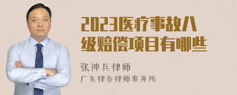 2023医疗事故八级赔偿项目有哪些