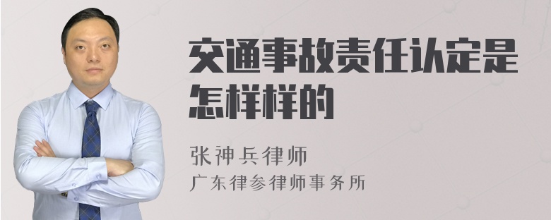 交通事故责任认定是怎样样的