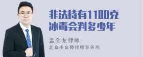 非法持有1100克冰毒会判多少年