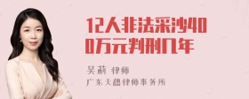 12人非法采沙400万元判刑几年