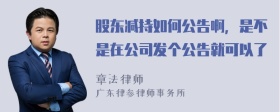 股东减持如何公告啊，是不是在公司发个公告就可以了