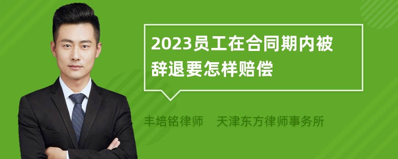 2023员工在合同期内被辞退要怎样赔偿