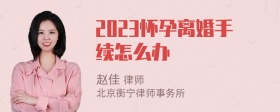 2023怀孕离婚手续怎么办