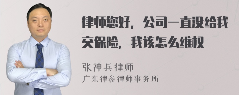 律师您好，公司一直没给我交保险，我该怎么维权