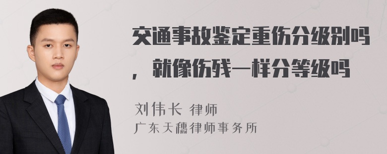 交通事故鉴定重伤分级别吗，就像伤残一样分等级吗