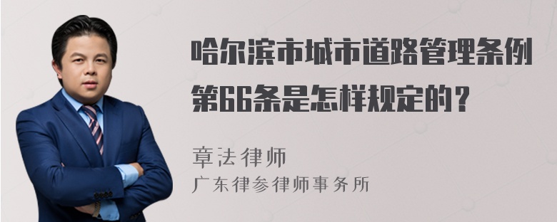 哈尔滨市城市道路管理条例第66条是怎样规定的？