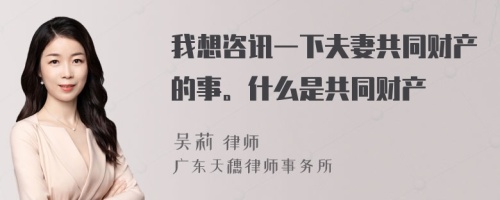 我想咨讯一下夫妻共同财产的事。什么是共同财产